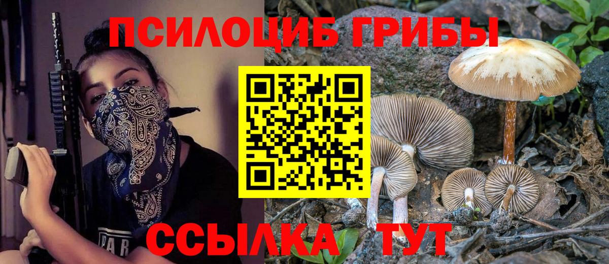 Псилоцибиновые грибы мухоморы  Псилоцибиновые грибы Psilocybe  Курганинск  Вход с VPN 